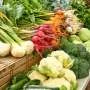 Broccoli compounds may help repair HIV-linked gut damage, animal study suggests