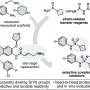 Redesigned lung cancer drug matches tumor control with fewer off-target interactions