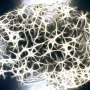 Neuron silence may predict epileptic seizures milliseconds before onset, could lead to seizure reduction device