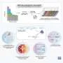 Blood protein study of 78,000 people uncovers disease mechanisms and drug repurposing leads