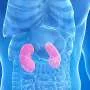 Hyperuricemia predicts mortality with chronic kidney disease