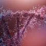 Three genes may link six mental disorders through shared biomarkers