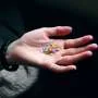 Psychedelics not yet ready for clinical use in ADHD treatment, study finds
