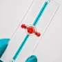 Living 'tumor on a chip' could give best ever insight into aggressive brain cancer