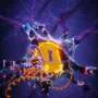 Longevity-linked APOE2 gene variant helps neurons repair DNA and resist aging