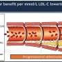 Early action on bad cholesterol delays heart disease