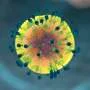 Researchers find new strategy to help immune system fight pancreatic cancer