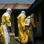 The vaccines and treatments being developed for Ebola outbreak