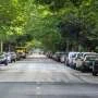 Trees improve health, but not for everyone, study finds