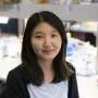 Boosting protein folding could protect insulin-making cells in diabetes