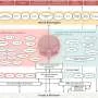 Neuroimmune abnormalities may play a key role in fibromyalgia