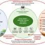 Not all green space is equal: New framework highlights overlooked ecological factors in nature prescribing