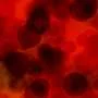 An 'energy addiction' in high-risk blood cancer stem cells could lead to new treatment strategies