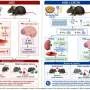 Soy lysolecithin counters high-salt diet-induced hypertension and cognitive impairment