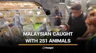 251 live wild animals found hidden in Malaysian man’s suitcase
