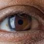 Genetic information helps predict the onset and progression of glaucoma
