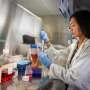 DNA repair protein gene gone rogue may unlock new cancer treatments