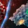 Small-molecule antiviral drug targets ACE2 receptor to block coronaviruses from entering cells