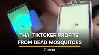 Thai TikToker goes viral for turning dead mosquitoes into keychains
