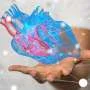 Prevalence of right ventricular dysfunction ~40% in heart failure with preserved ejection fraction
